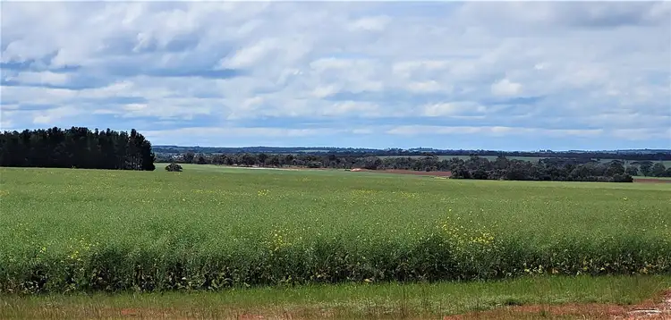 Fourth view of Homely rural property listing, Address available on request