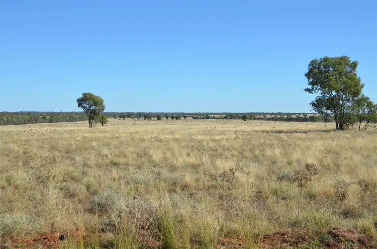 Fourth view of Homely rural property listing, Kopyje Station Rosevale Road, Cobar NSW 2835