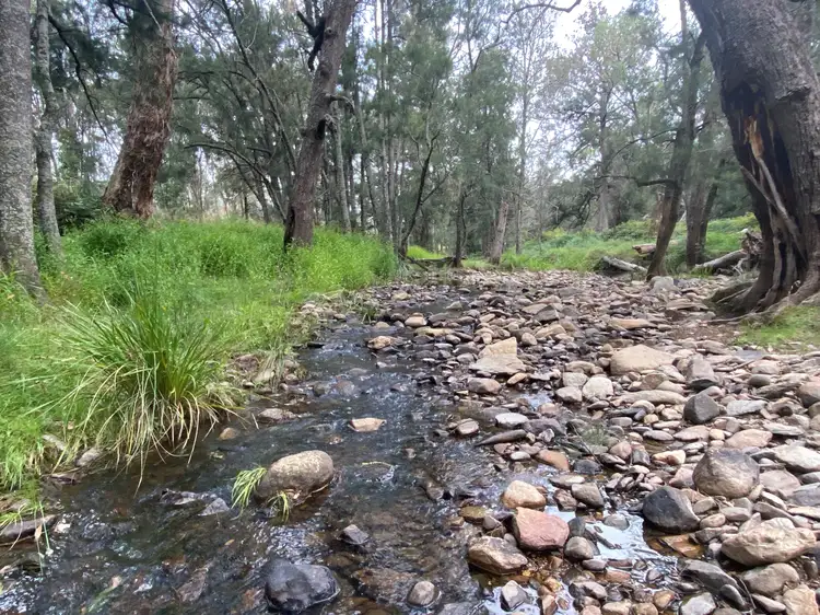 Main view of Homely rural property listing, Lot 61/550 Doughertys Junction Road, Hargraves NSW 2850