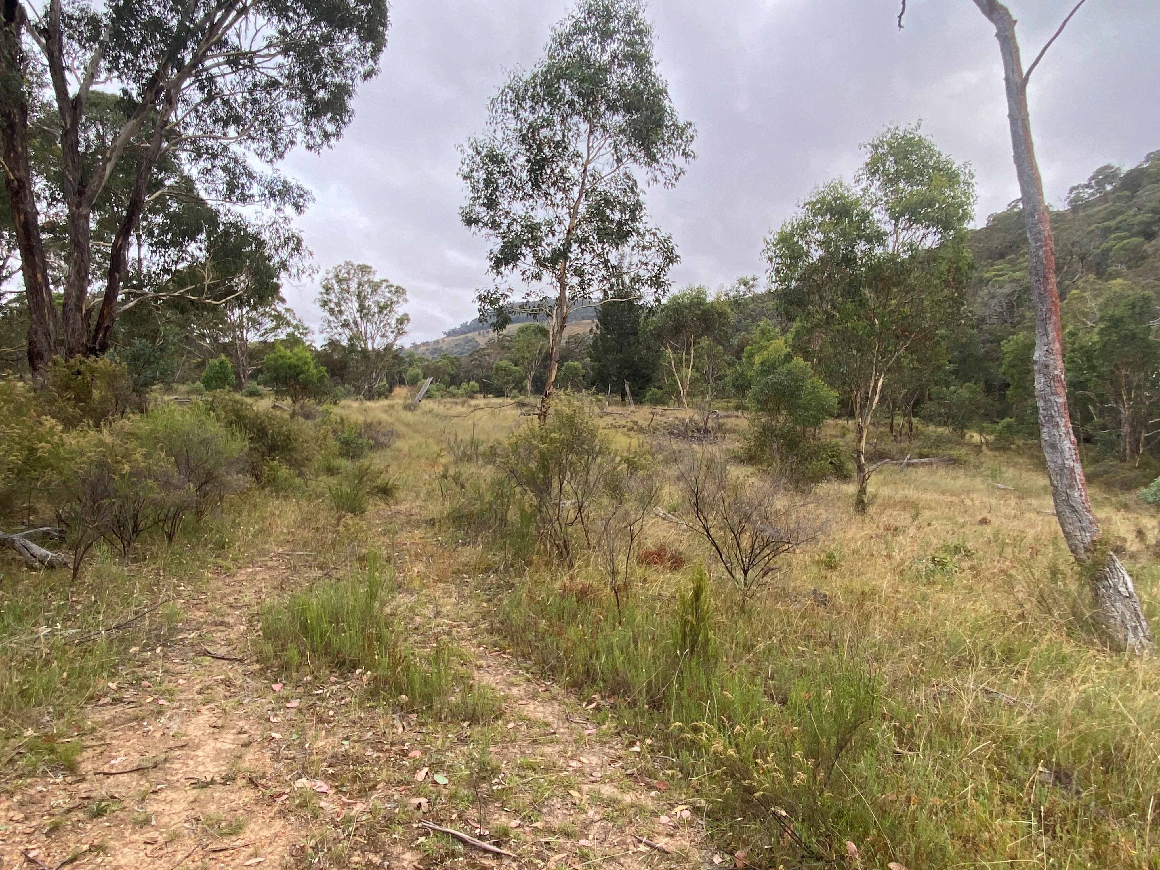 Second view of Homely rural property listing, Lot 61/550 Doughertys Junction Road, Hargraves NSW 2850