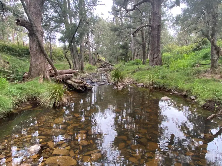 Fourth view of Homely rural property listing, Lot 61/550 Doughertys Junction Road, Hargraves NSW 2850