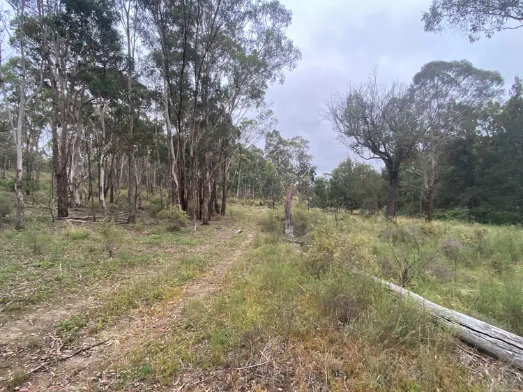Seventh view of Homely rural property listing, Lot 61/550 Doughertys Junction Road, Hargraves NSW 2850