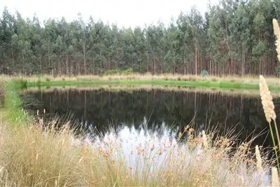 Fourth view of Homely rural property listing, . Bucks Road, Scotts Creek VIC 3267