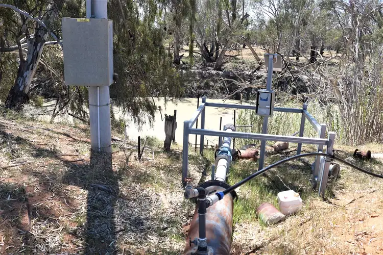 Fourth view of Homely rural property listing, 3675 Pooncarie Road, Wentworth NSW 2648