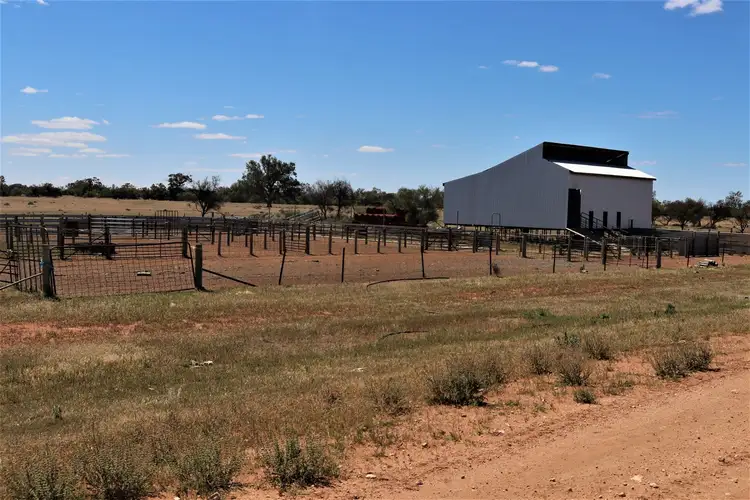 Fifth view of Homely rural property listing, 3675 Pooncarie Road, Wentworth NSW 2648