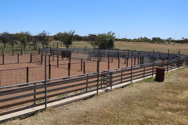Seventh view of Homely rural property listing, 3675 Pooncarie Road, Wentworth NSW 2648