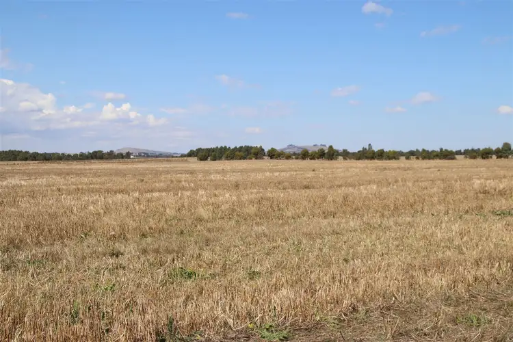 Lot 1 McKenzies Road, Clunes VIC 3370