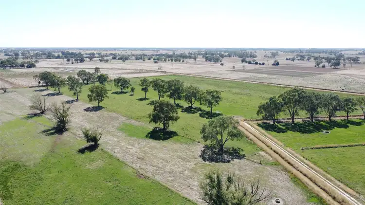 Main view of Homely rural property listing, 55 Murphy Road, Tongala VIC 3621