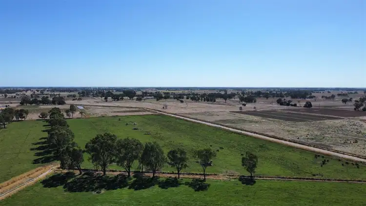 Third view of Homely rural property listing, 55 Murphy Road, Tongala VIC 3621