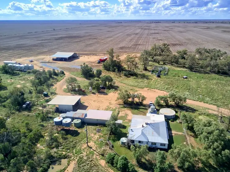 Seventh view of Homely rural property listing, 151 Poison Gate Road, Rowena NSW 2387