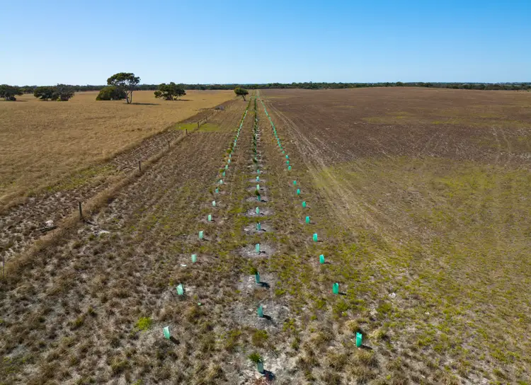 Fifth view of Homely rural property listing, 187 Shipway Road, Currency Creek SA 5214