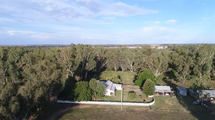 Main view of Homely rural property listing, 896 Warren Rd, Narromine NSW 2821