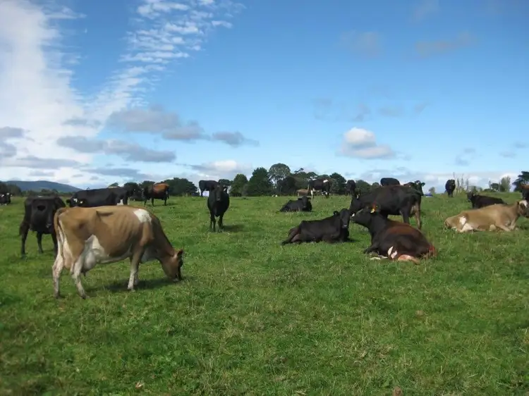 Third view of Homely rural property listing, 1719 Mawbanna Road, Mawbanna TAS 7321