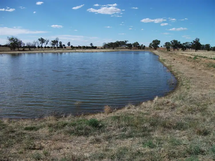 924 Old Deniliquin Road, Moama NSW 2731