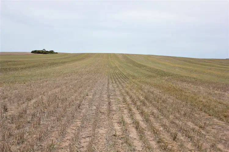 Sect. 138 Lower White Hut Road, White Hut SA 5575