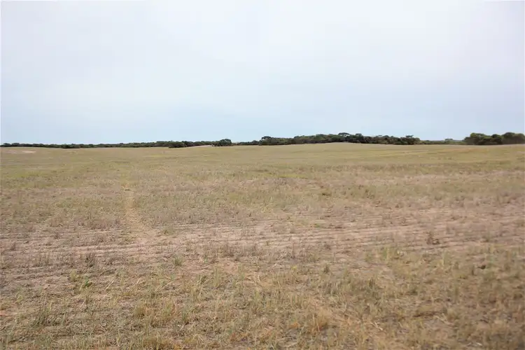 Second view of Homely rural property listing, Sect. 138 Lower White Hut Road, White Hut SA 5575
