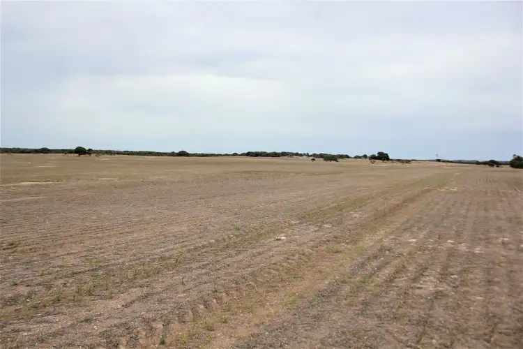 Third view of Homely rural property listing, Sect. 138 Lower White Hut Road, White Hut SA 5575