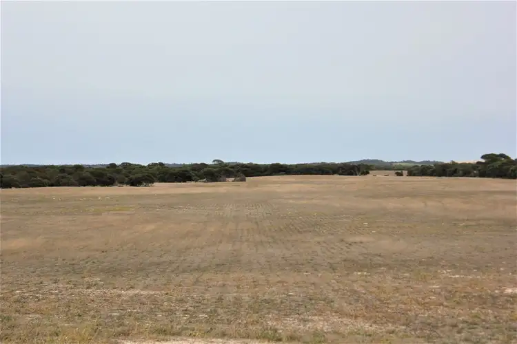 Fourth view of Homely rural property listing, Sect. 138 Lower White Hut Road, White Hut SA 5575