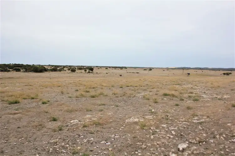 Fifth view of Homely rural property listing, Sect. 138 Lower White Hut Road, White Hut SA 5575