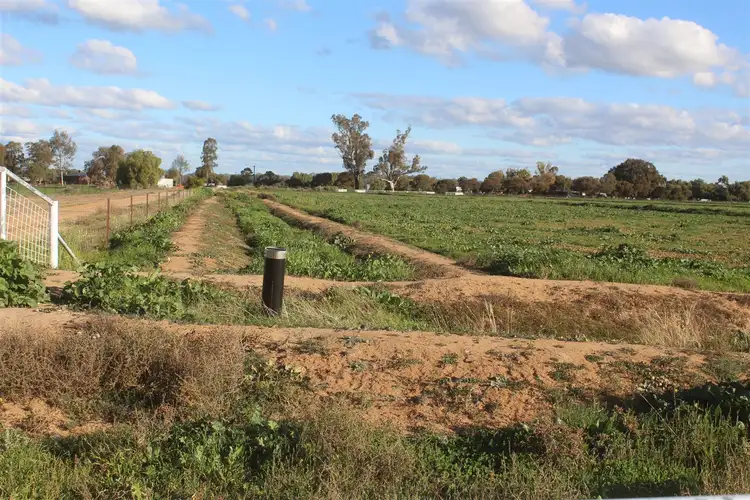 Third view of Homely rural property listing, Lot 23 Sidonia Road, Hay NSW 2711