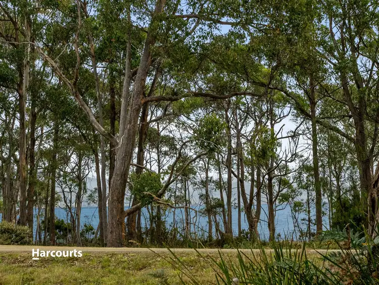 Fifth view of Homely land listing, Lot 4 Abels Bay Road, Abels Bay TAS 7112