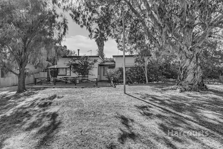 Main view of Homely house listing, 16 Thera Street, Falcon WA 6210