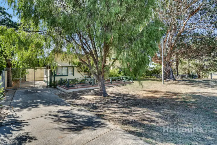 Second view of Homely house listing, 16 Thera Street, Falcon WA 6210