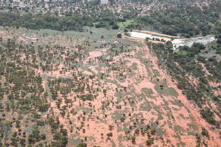 Fourth view of Homely rural property listing, Maryantha East 566 Kidman Way, Cobar NSW 2835