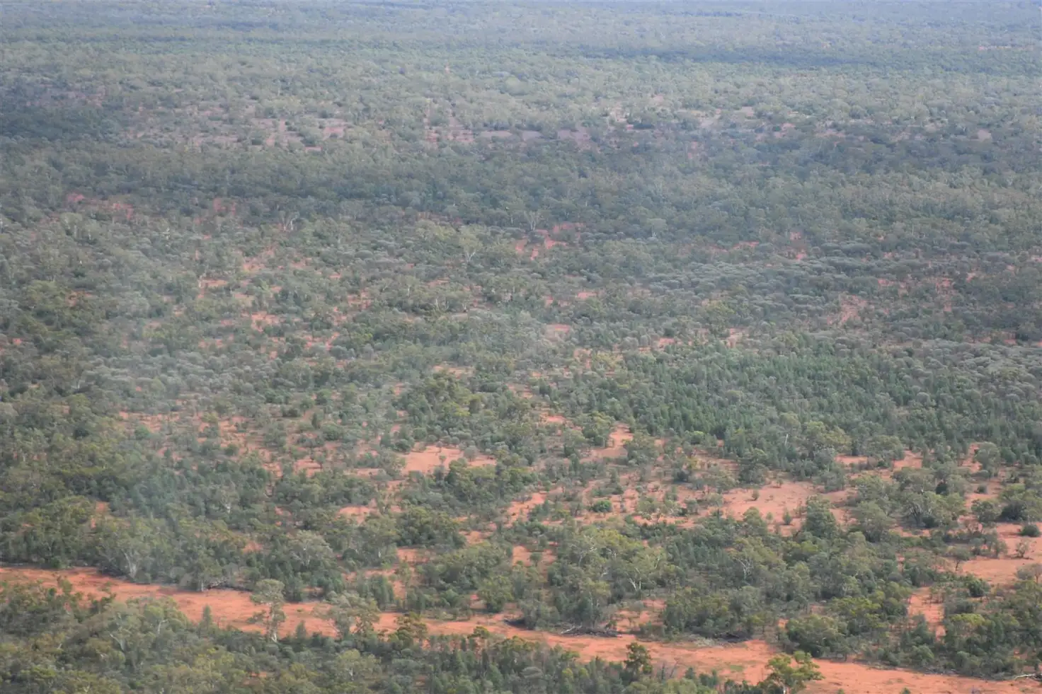 Main view of Homely rural property listing, * The Retreat, Cobar NSW 2835