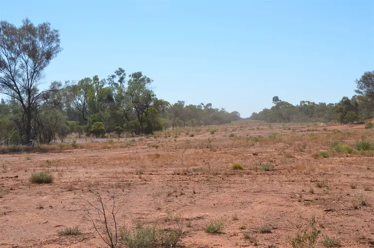 Fifth view of Homely rural property listing, * The Retreat, Cobar NSW 2835