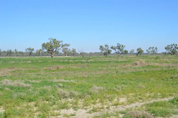 Seventh view of Homely rural property listing, * ATLEY, Wilcannia NSW 2836