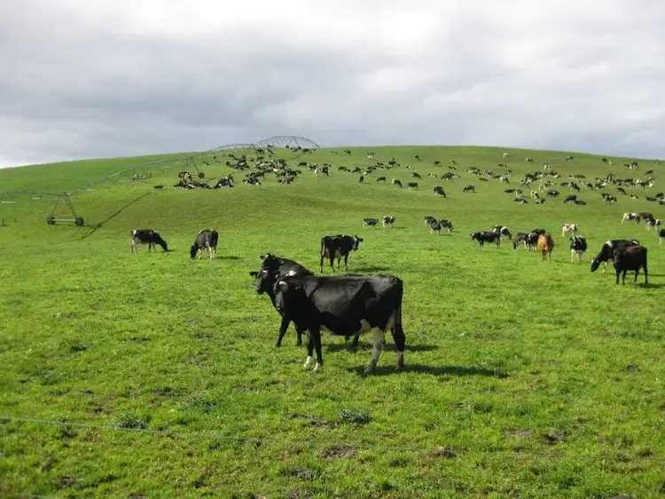 Main view of Homely rural property listing, 103 Ralstons Road, Nabageena TAS 7330