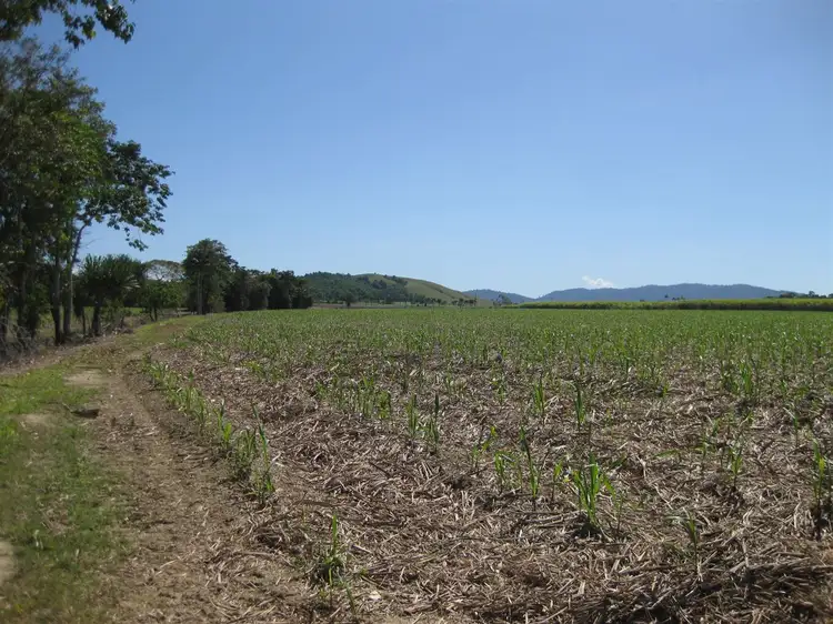 Fifth view of Homely rural property listing, Address available on request