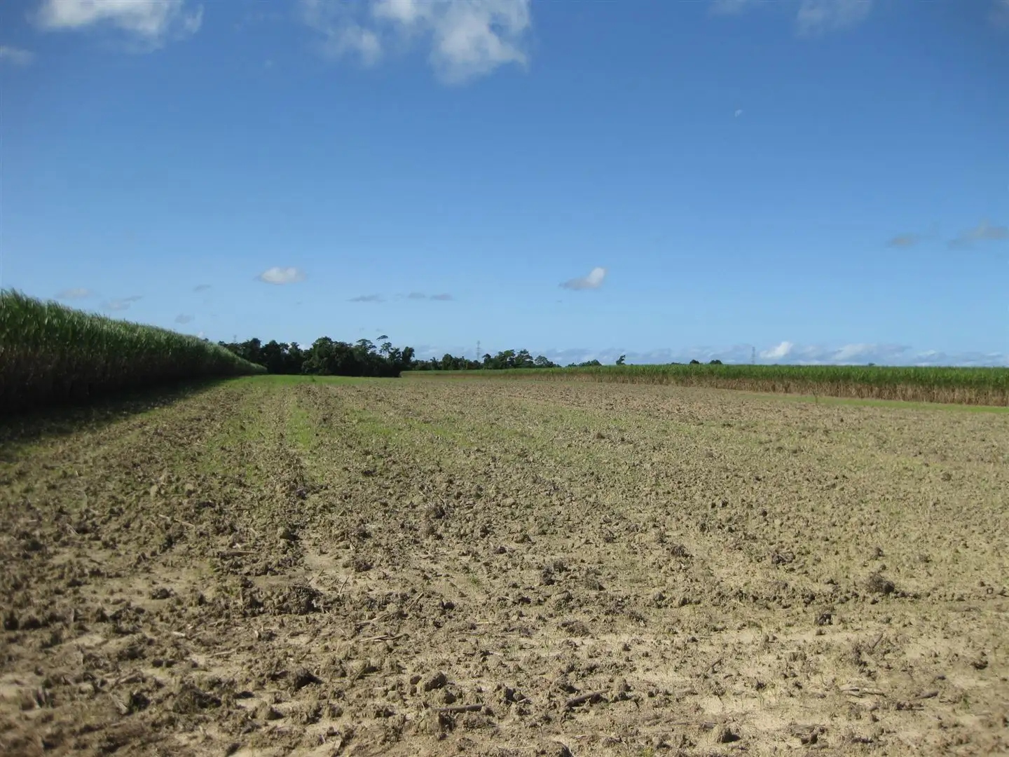 Main view of Homely rural property listing, Address available on request
