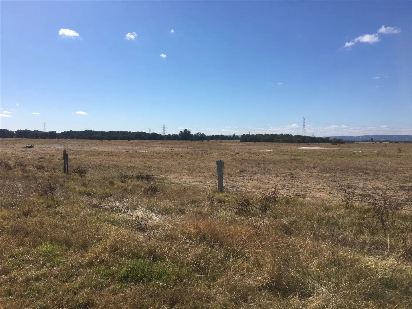 Main view of Homely rural property listing, 204 Paterson Road, Ravenswood WA 6208