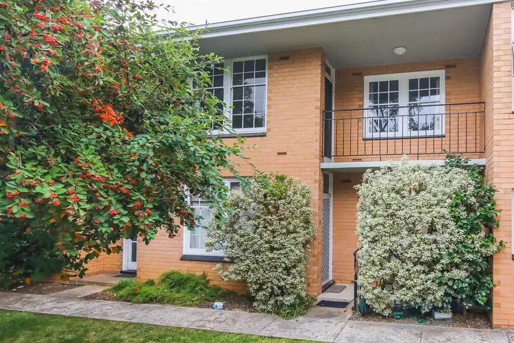 296 Fullarton Road