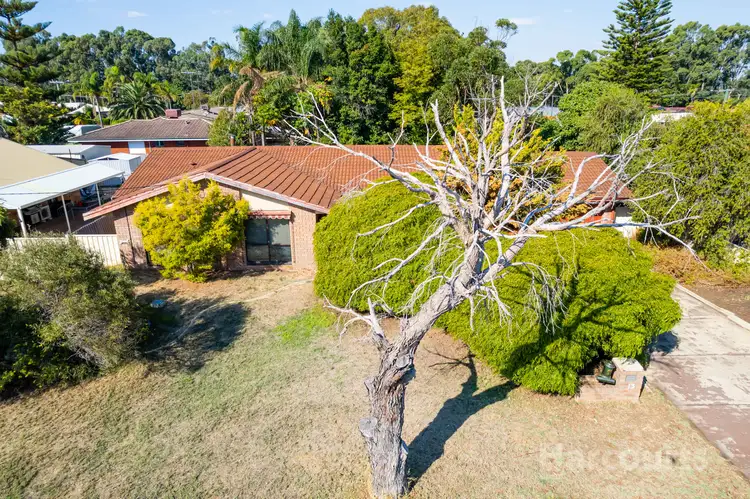 Second view of Homely house listing, 13 Luckhurst Drive, Mandurah WA 6210