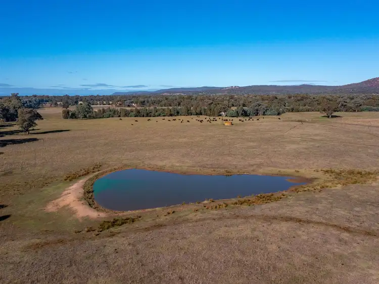 Fifth view of Homely rural property listing, 00 Wangaratta-Yarrawonga Road, Killawarra VIC 3678