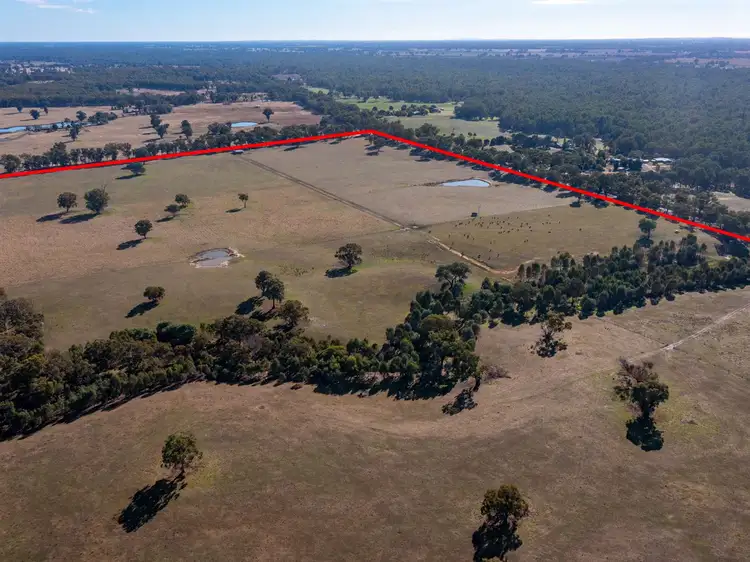 Seventh view of Homely rural property listing, 00 Wangaratta-Yarrawonga Road, Killawarra VIC 3678