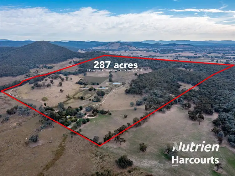Main view of Homely rural property listing, 120 Jones Lane, Greta South VIC 3675
