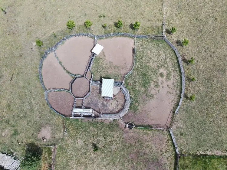 Seventh view of Homely rural property listing, Buckandor/572 Tablelands Road, Red Range NSW 2370