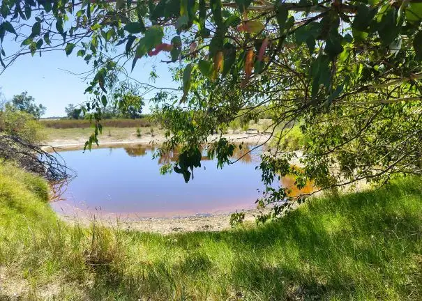 Main view of Homely rural property listing, Lot 800 Buckingham Road, Wanerie WA 6503
