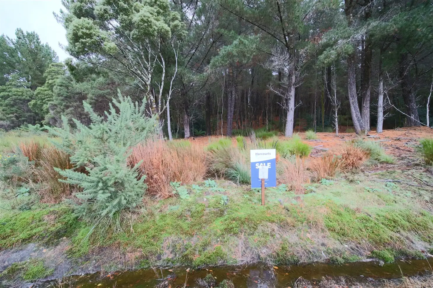 Main view of Homely land listing, 55 Fowler Street, Zeehan TAS 7469