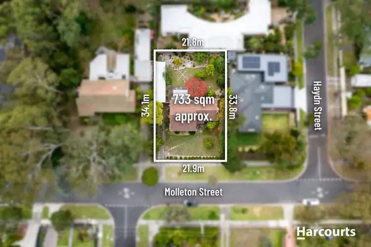 7 Molleton Street, Blackburn VIC 3130