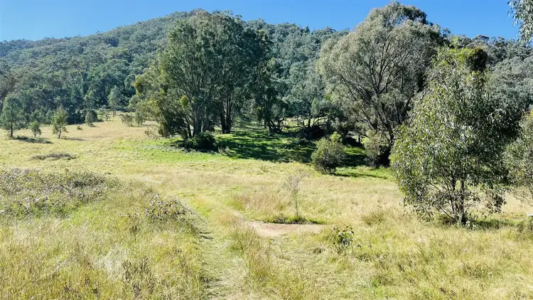 Fifth view of Homely rural property listing, 20 Ceeneys Road, Cassilis VIC 3898