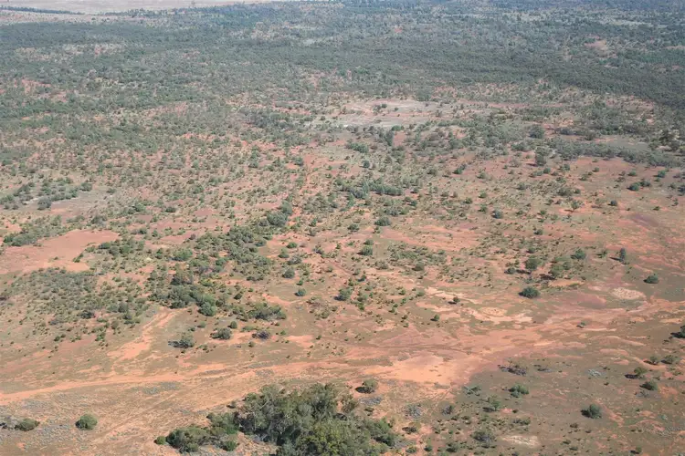 Fourth view of Homely rural property listing, * Hurleys, Cobar NSW 2835