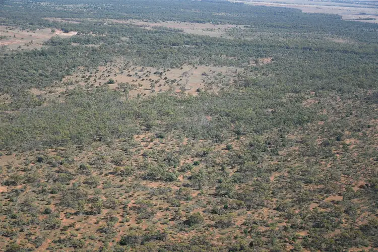 Sixth view of Homely rural property listing, * Hurleys, Cobar NSW 2835