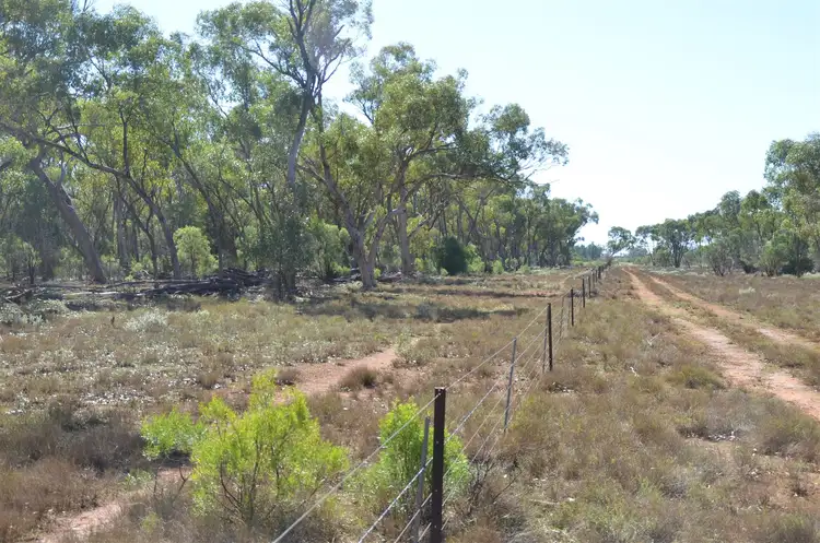 Seventh view of Homely rural property listing, * Hurleys, Cobar NSW 2835