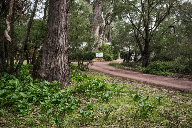 Second view of Homely house listing, 19 Rushleigh Road, Reinscourt WA 6280