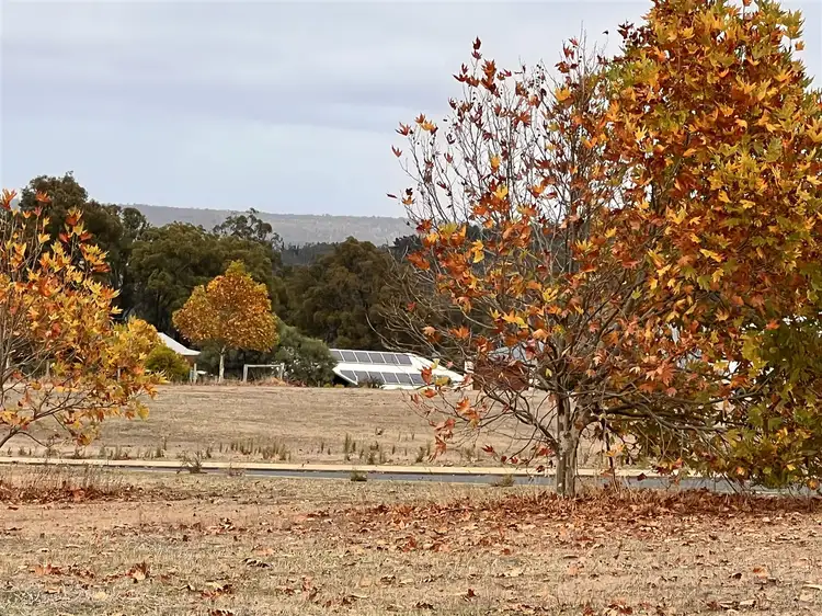 Main view of Homely land listing, 13 Galloway Drive, Bridgetown WA 6255